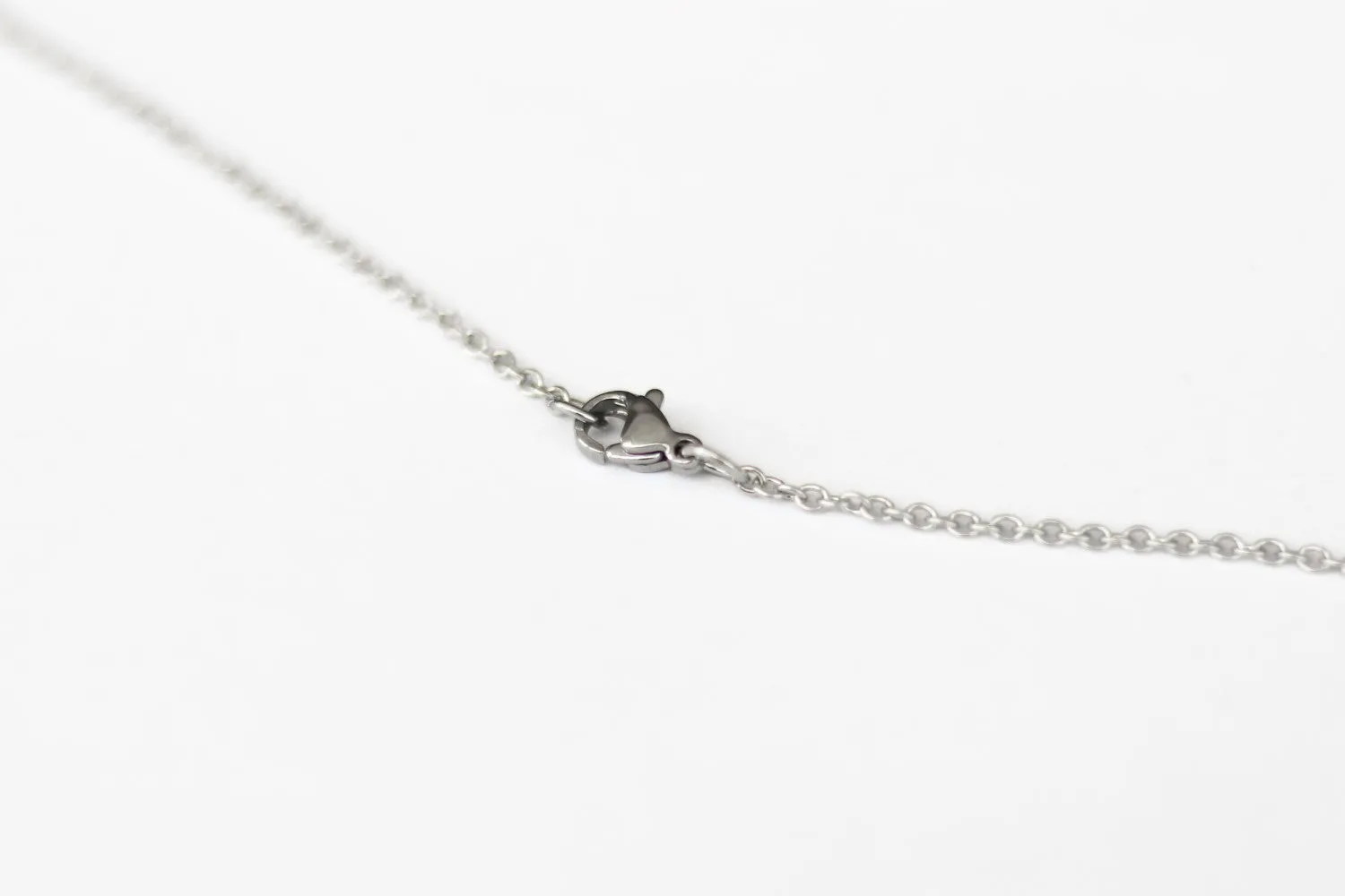 Horseshoe necklace for men, silver chain, gift for him, cowboy necklace