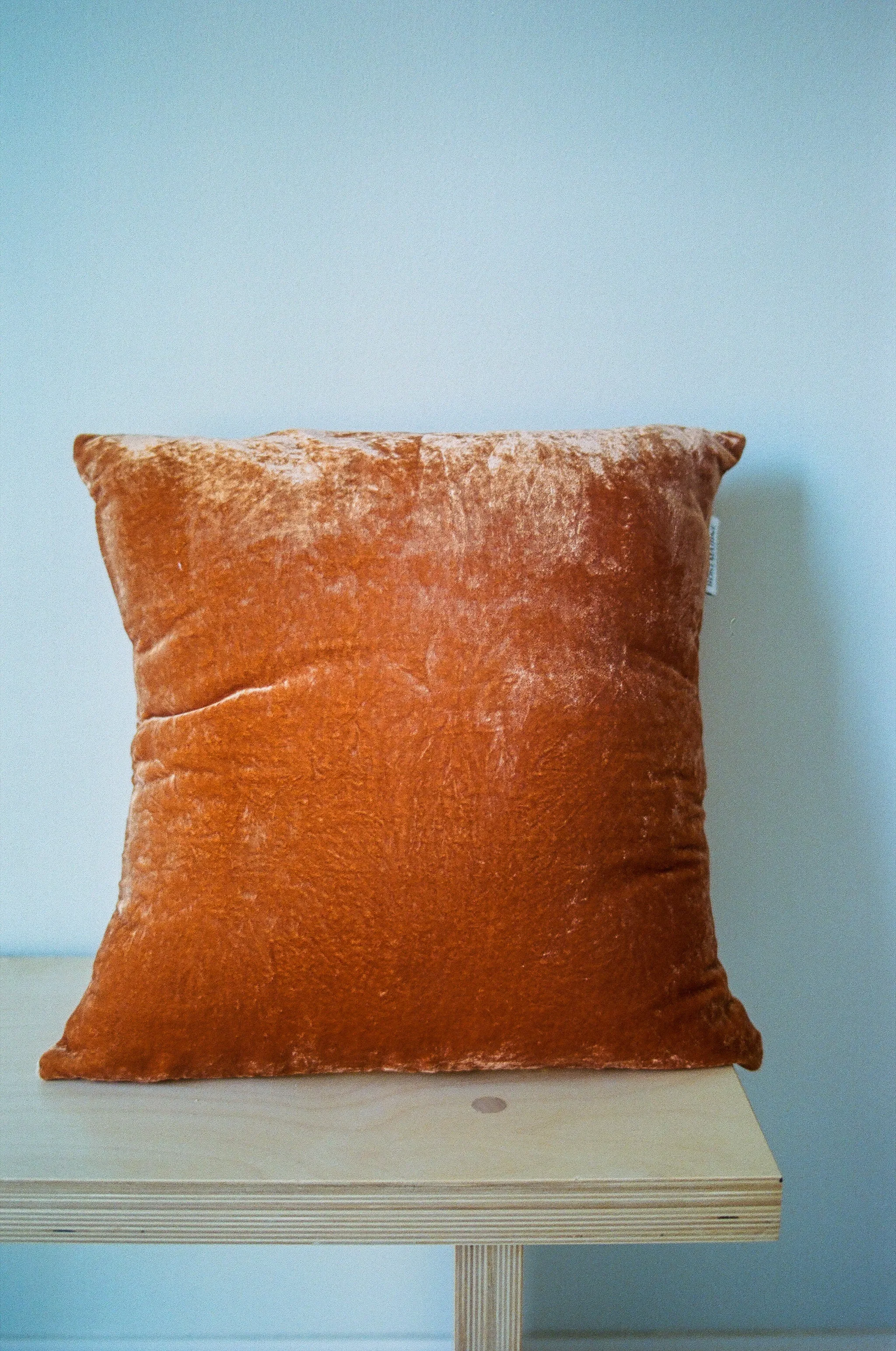 Rust Naturally Dyed Silk Velvet Pillow